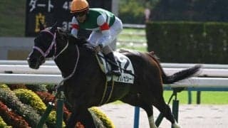 【京都2歳S出走馬・騎手確定】ウイナーズナイン＆西村淳也騎手、バルセシート＆C.デムーロ騎手など11頭