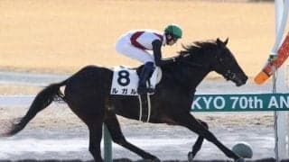 【京阪杯出走馬・騎手確定】ルガル＆西村淳也騎手、ペアポルックス＆松若風馬騎手など18頭