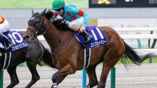 半姉はGI・2勝のエンブロイダリー バートラガッツがダートでデビュー勝ちなるか