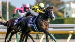 【ジャパンC・調教後馬体重】マスカレードボールは476kg、クロワデュノールは514kg