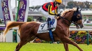 母は名牝グランアレグリア グランマエストロが今度こそ初勝利なるか