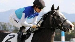 川田将雅騎手がジャパンC初制覇なるか アドマイヤテラと参戦