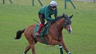 【ジャパンC】カランダガンの追い切りに太鼓判 グラファール師「これ以上は望めないほど満足している」