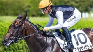 【カトレアS】中内田充正厩舎の100万ドルホース マグナヴィクトルが連勝なるか