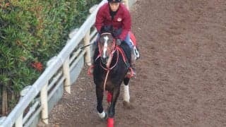 【JRA新馬戦】ラヴズオンリーユーの仔ラヴズプレミアム、エンブロイダリーの半弟バートラガッツなどがデビュー