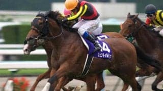 叔母は名牝ジェンティルドンナ ケールハイムがデビュー勝ちなるか