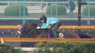 サンライズジパング、チャンピオンズC1週前追い切り速報/栗東トレセンニュース