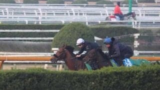 ベラジオオペラ、香港C追い切り速報/栗東トレセンニュース