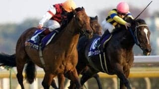 万博開催年のジャパンCは「8枠」に注目 過去3回で連対率100％