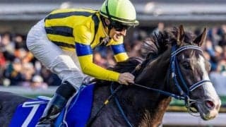 ジャパンCは前走人気に注目 天皇賞(秋)で1〜2番人気だった馬は複勝率80%