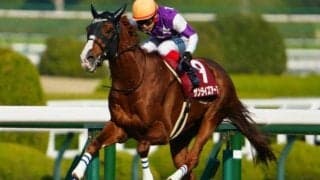 ジャパンC史上初 日本人調教師の親子制覇に3名が挑む