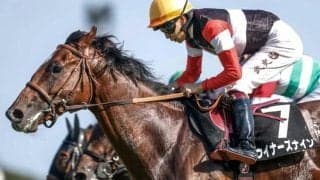 【京都2歳S枠順確定】ウイナーズナインは8枠11番、サトノアイボリーは6枠7番