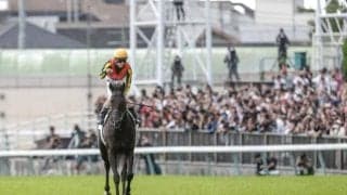 今年のジャパンCは“3世代ダービー馬対決” 過去の事例では後輩馬が優勢？