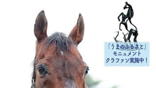 亡くなった馬たちに想いを寄せる場所を-- 引退馬協会がクラウドファンディングを実施 