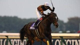 【ジャパンCの過去10年データ】圧倒的に内有利なレース 特に1着馬は内枠から