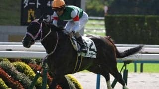 【京都2歳S予想】クラシックにつながる重要な一戦！ キャリアの浅い2歳馬は前走での経験が重要