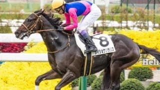 今週の武豊騎手は15鞍 メイショウソラリスで京都2歳Sの6年ぶり4勝目なるか