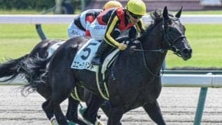 名牝リバティアイランドの妹2頭 土日京都で連勝なるか