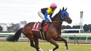 【ステイヤーズS想定馬・騎手】チャックネイト、クロミナンスなど13頭