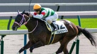 【京都2歳S】半姉は快足レシステンシア バルセシートが無敗戴冠なるか