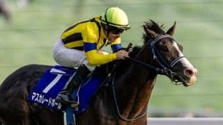 【ジャパンカップ】マスカレードボールは7枠15番から…仏カランダガンは4枠8番