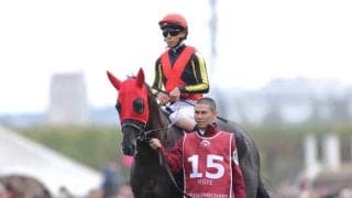 【ジャパンカップ】仏帰りのクロワデュノールは514kg…出走馬の調教後の馬体重