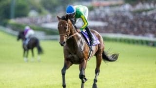 【香港国際競走】サトノレーヴら日本馬8頭が参戦予定…選出馬発表