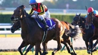 【有馬記念】連覇狙うレガレイラが1位…ファン投票第1回中間発表