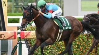 【鳴尾記念想定馬・騎手】オールナット、ドゥラエレーデなど16頭