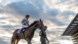 ドジャースがWS制覇した年のジャパンCに共通項 勝ち馬の馬名にヒントあり？