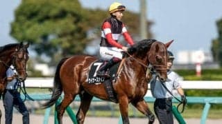 【今日の注目ポイント】京都2歳Sでウイナーズナインが無傷の3連勝を狙う