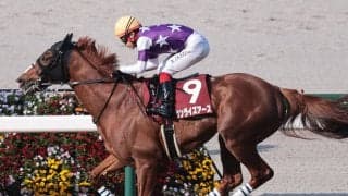 【競馬予想】ジャパンＣで注目すべき血統は？　世界１位の欧州代表馬に対抗できそうな２頭をピックアップ