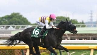【競馬予想】ジャパンカップはマスカレードボールが有力も、超人気薄の６歳馬の大駆けに要注意