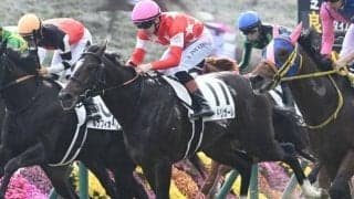 【京都5R新馬戦結果】モーリス産駒レッドリガーレが接戦を制す