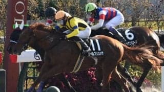 【JRA・WIN5】本日のWIN5は的中10票、配当3051万5200円