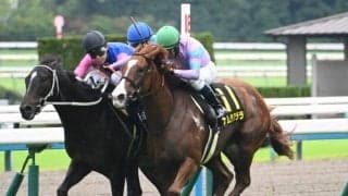 【京阪杯予想】前走は展開やメンバーに恵まれた可能性大！ 過去の傾向からも妙味が薄い人気馬とは