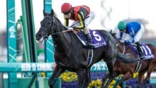 【ジャパンC予想】前走大敗馬は大きな割引が必要！ 不安点が浮かび上がる軽視すべき人気馬