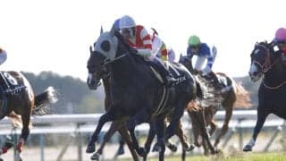 【東山S】武豊ヤブサメがオープン入り