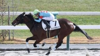 【新馬/京都6R】エンブロイダリー半弟 バートラガッツが断然の支持に応える