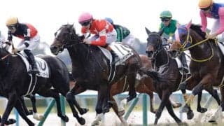 【新馬/京都5R】プーシャン騎乗 レッドリガーレがハナ差凌ぐ