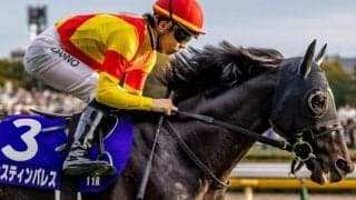 ジャパンCはスローで内枠有利か ジャスティンパレスの一発を期待