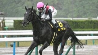 【京阪杯前日オッズ】ルガルが5.2倍で1番人気