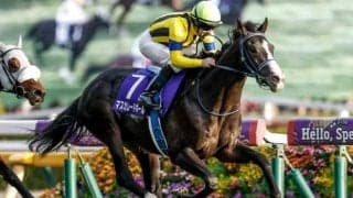 【ジャパンC前日オッズ】マスカレードボールが2.9倍で1番人気