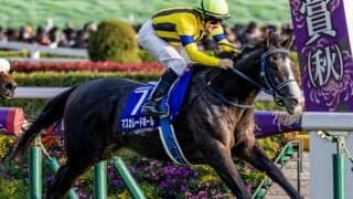 霜降り明星・粗品はマスカレードボールを信頼 ジャパンCは3連複で勝負だ