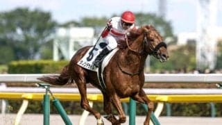 【AI予想・ジャパンC】前走は敗因明確で参考外！ 巻き返しに燃えるハイレベル世代の代表格