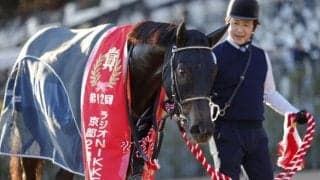 【京都2歳S】北村友「イメージしていた競馬とは少し違った」ジャスティンビスタがデビュー2連勝