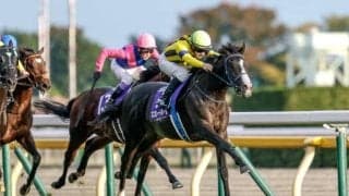 今年のジャパンCでは馬名の“末尾”をチェック 天皇賞(秋)を3歳馬が制した年には共通点あり