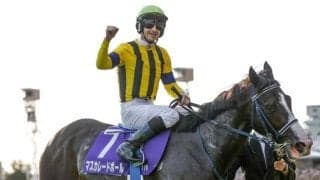 【今日の注目ポイント】国内外から強豪が集結する頂上決戦ジャパンC