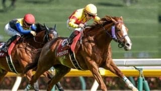 芝短距離重賞5勝のトウシンマカオが登録抹消 アロースタッドで種牡馬入りの予定