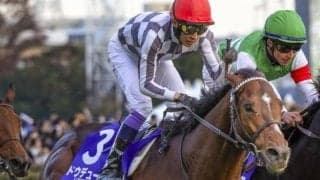 ジャパンCは上位人気安定 近況好調の馬を素直に信頼